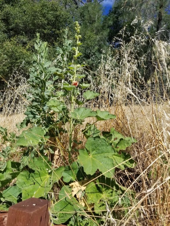 20190628_094243