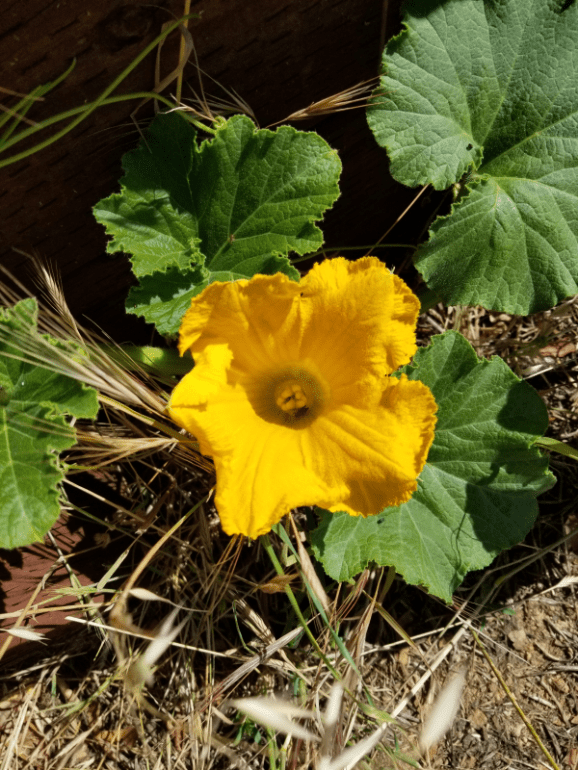 20190627_100339