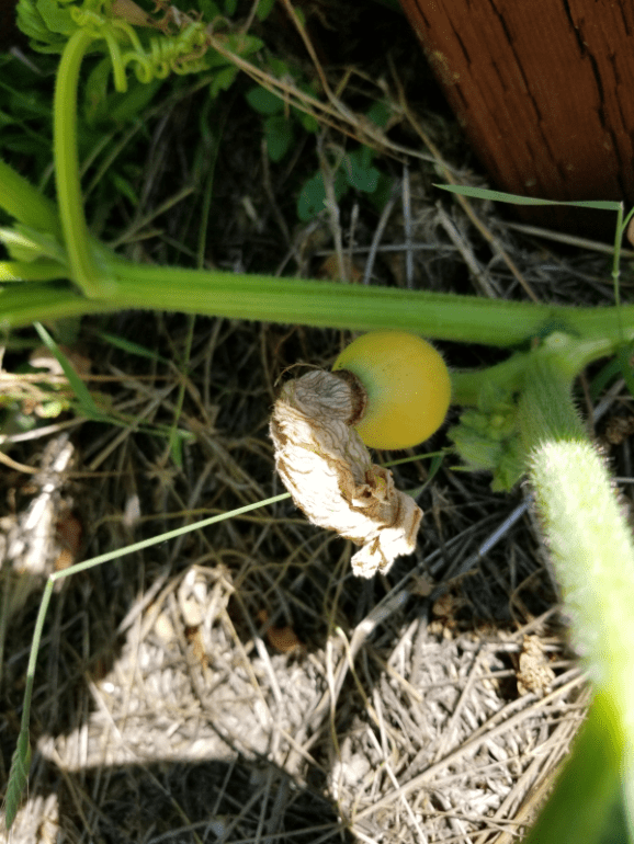 20190627_100517