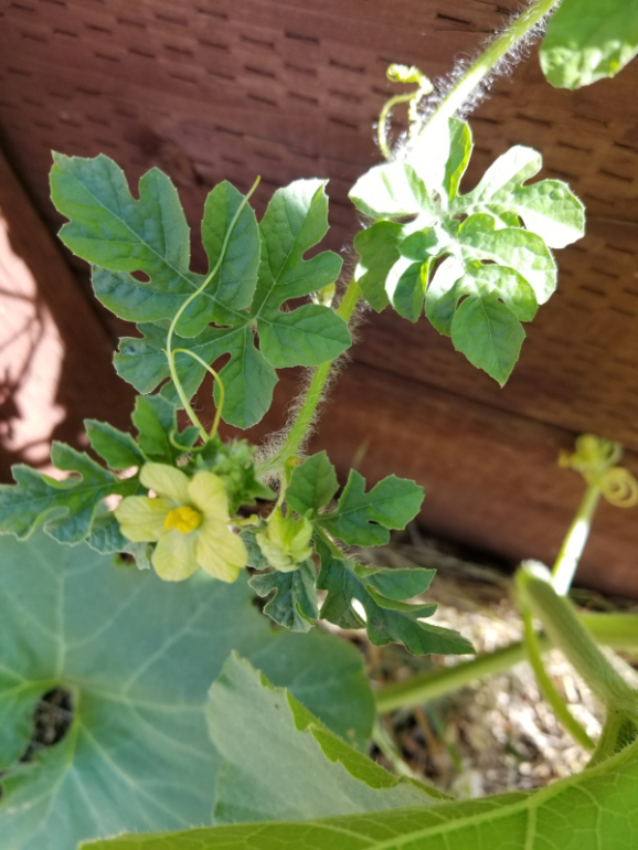 20190627_100452