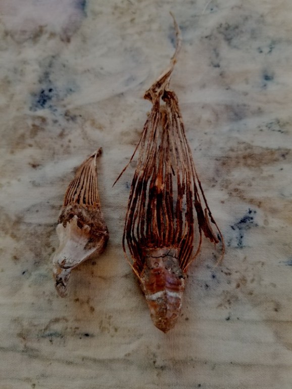 20190619_151935 20190619_151935