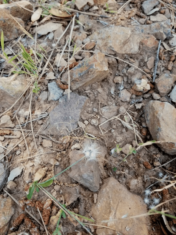 20190614_114354 20190614_114354