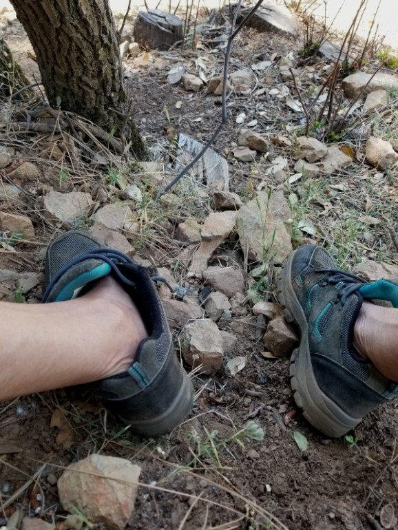 20190614_114014 20190614_114014