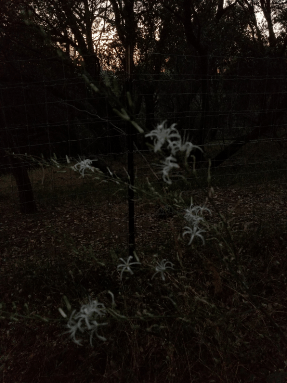 20190612_203444 20190612_203444