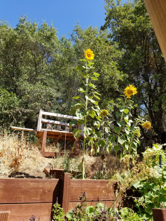 20190726_104241 20190726_104241