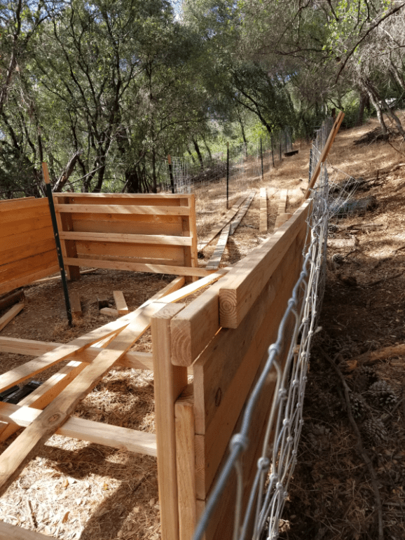 20190721_173319 20190721_173319