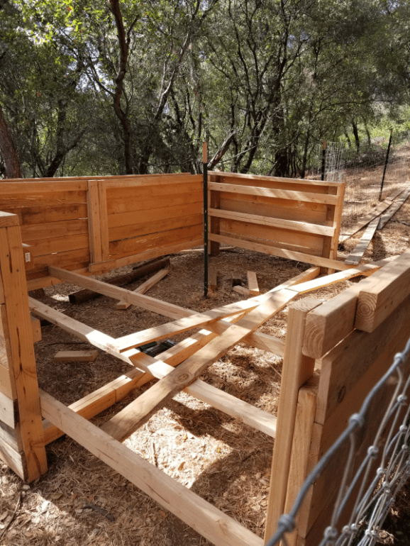 20190721_173308 20190721_173308