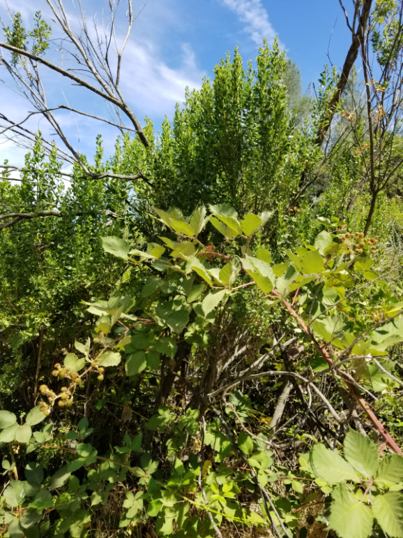 20190701_110052