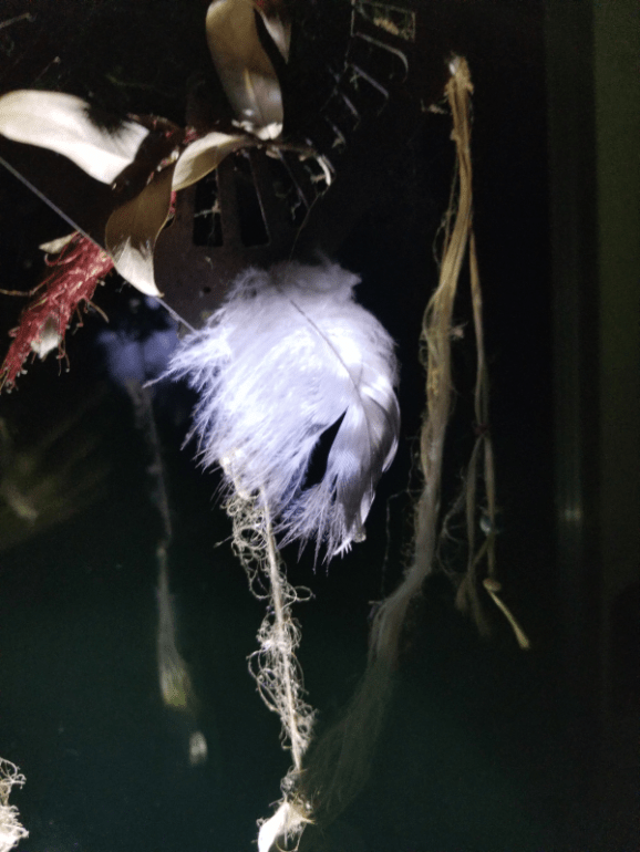 20190828_051858