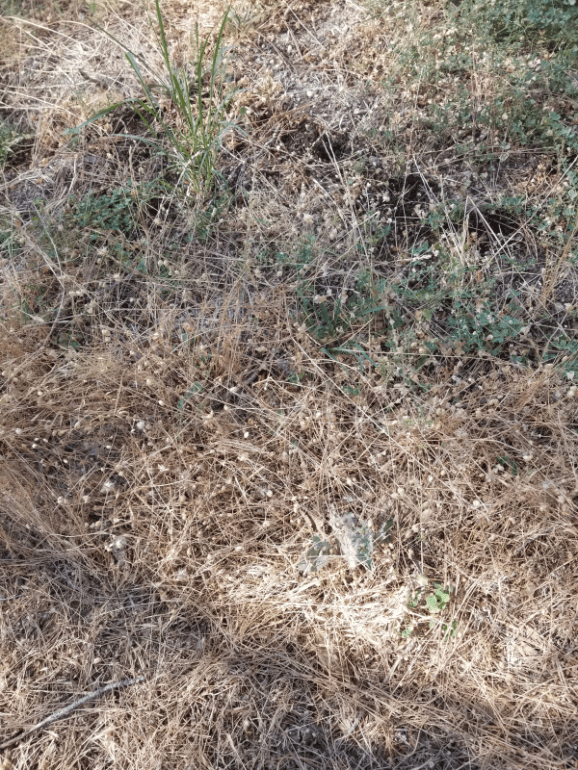20190827_103125