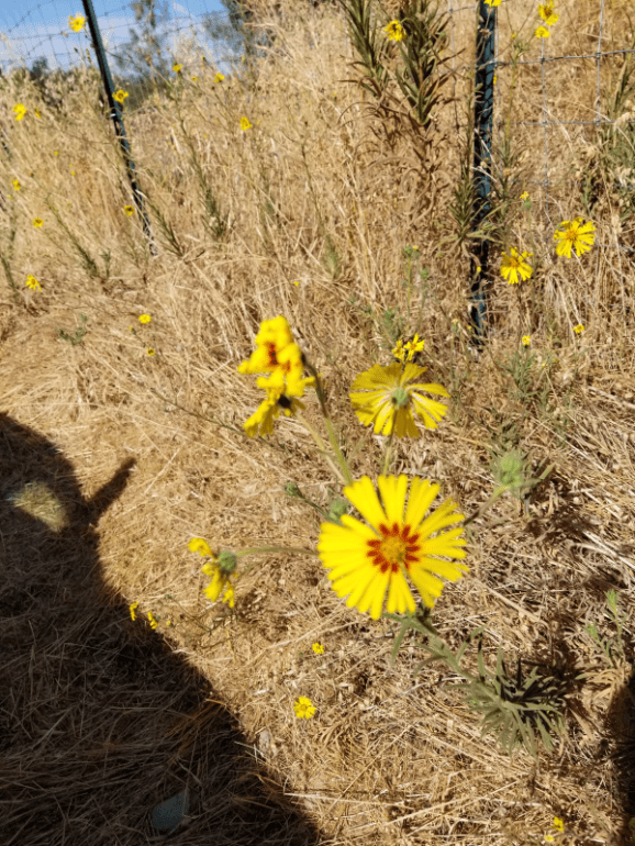 20190819_093931 20190819_093931