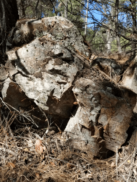 20190920_134048 20190920_134048