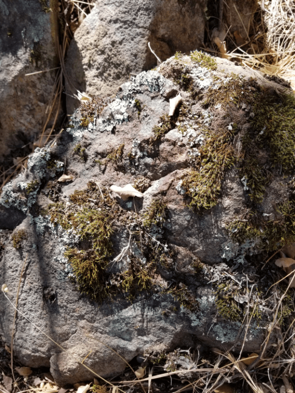 20190920_133950 20190920_133950