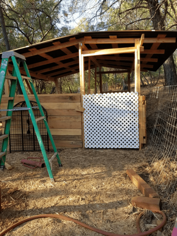 20190914_175937 20190914_175937