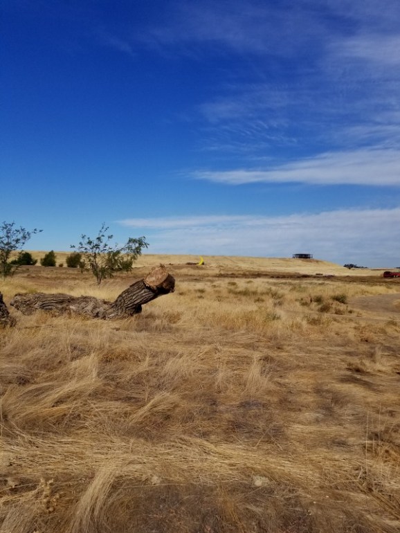 20190909_094137 20190909_094137