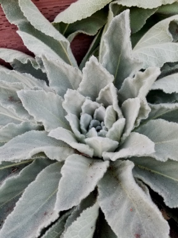20191030_172051