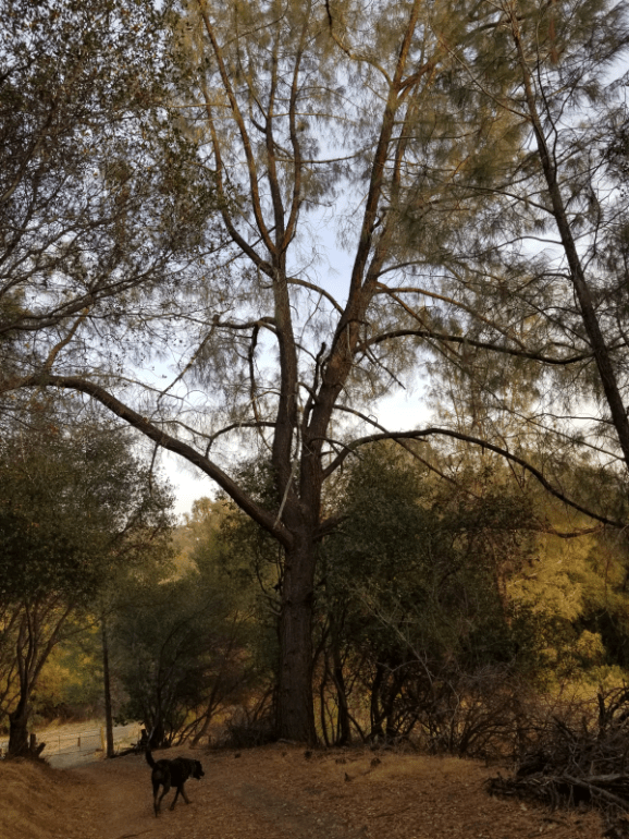 20191012_180123