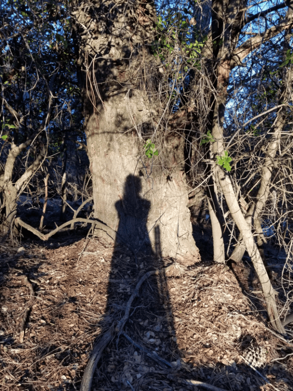 20190925_183924 20190925_183924