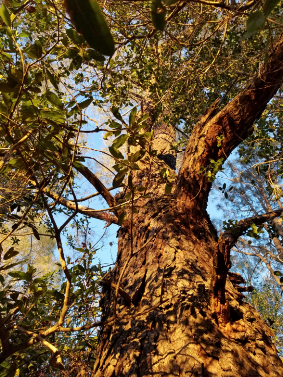20190925_184001 20190925_184001