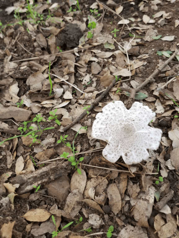 20191005_175125 20191005_175125