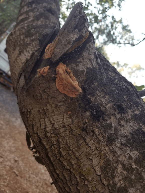 20191005_175637 20191005_175637