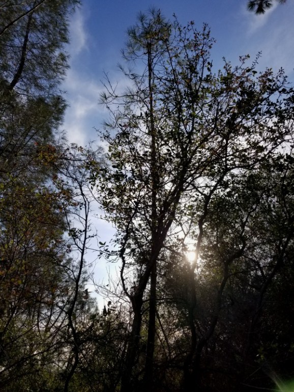 20191127_145650 20191127_145650