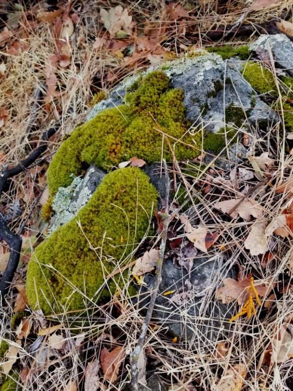 20191127_145518 20191127_145518