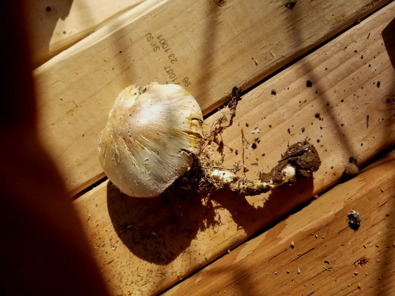 20191124_114903 20191124_114903