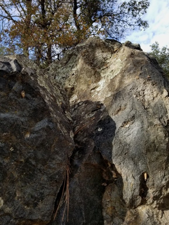20191122_135046 20191122_135046