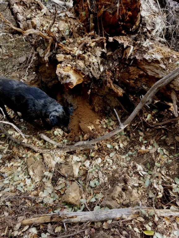 20191122_134043 20191122_134043