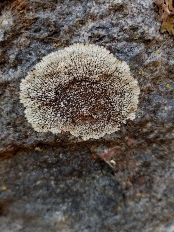 20191122_135111 20191122_135111