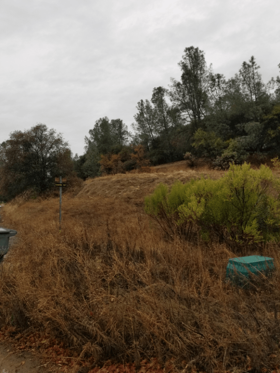 20191204_111737