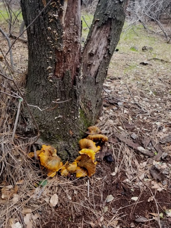 20200128_105859 20200128_105859