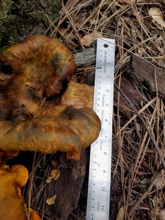 20200128_110046 20200128_110046