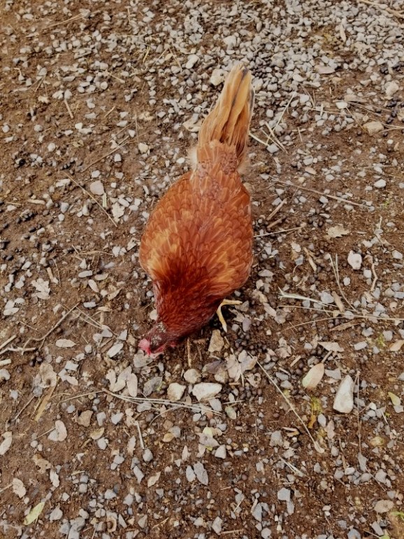 20200124_131536 20200124_131536