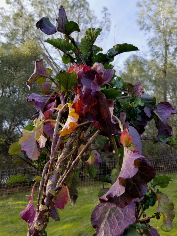 20200118_150118 20200118_150118