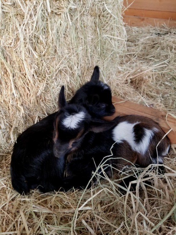 20200320_165813 20200320_165813