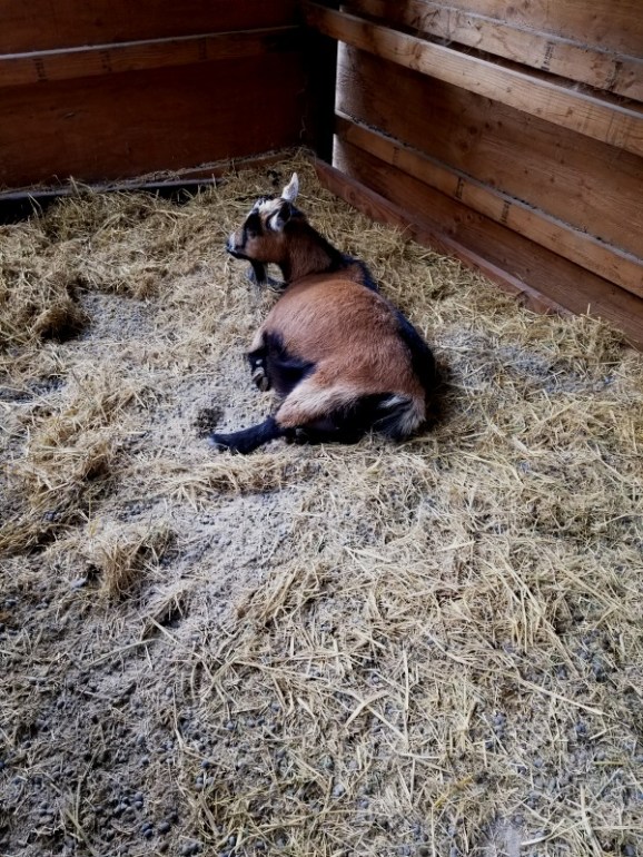 20200318_144207 20200318_144207