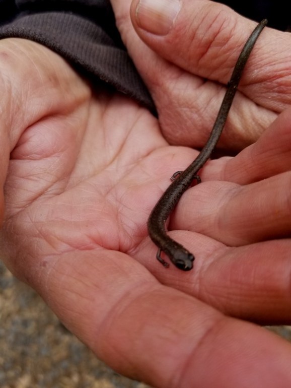 20200308_135856 20200308_135856