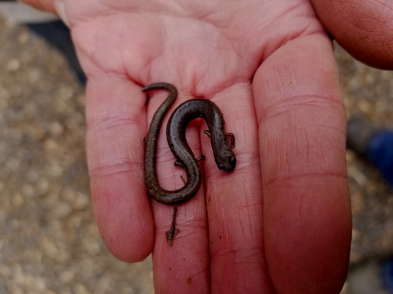 20200308_135834 20200308_135834