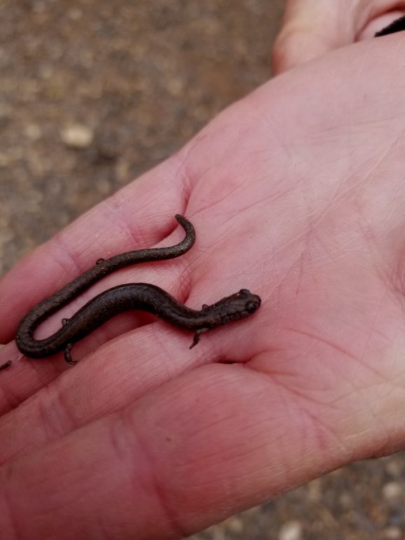 20200308_135840 20200308_135840