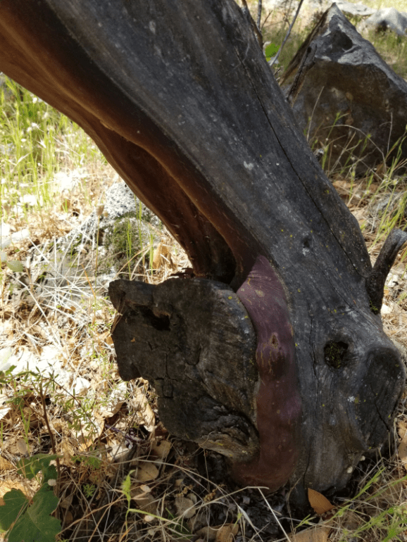 20200519_125553 20200519_125553