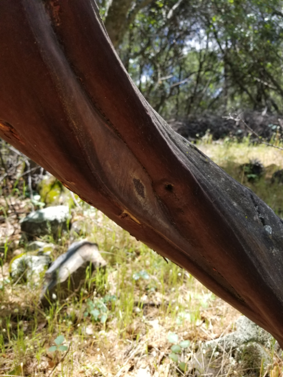 20200519_125547 20200519_125547