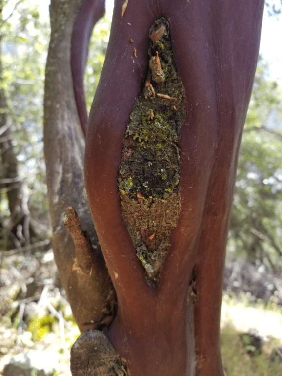 20200519_125558 20200519_125558