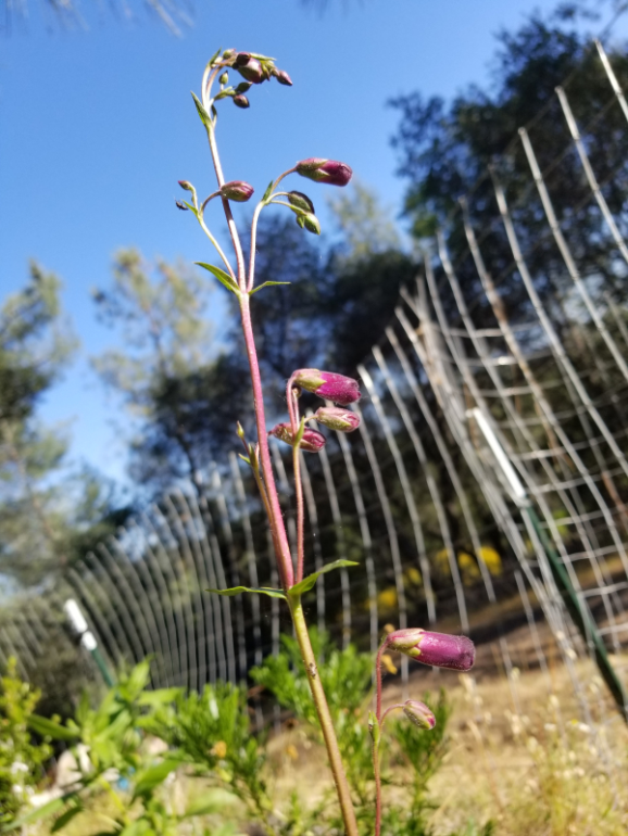 20200521_174756 20200521_174756