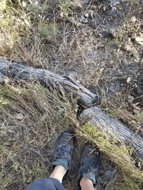 20200521_174508 20200521_174508