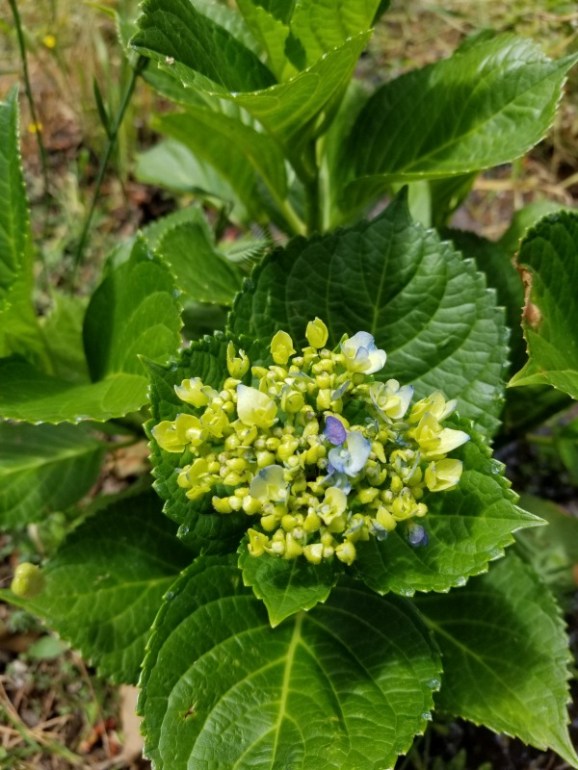 20200514_120116 20200514_120116