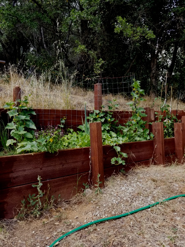 20200615_151944 20200615_151944