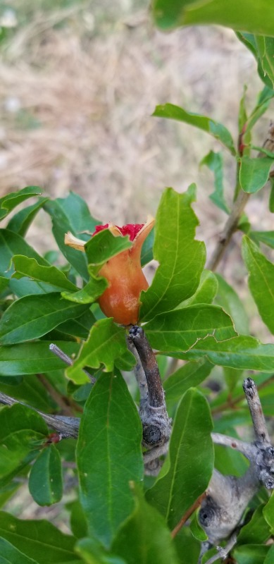 20200603_195959 20200603_195959