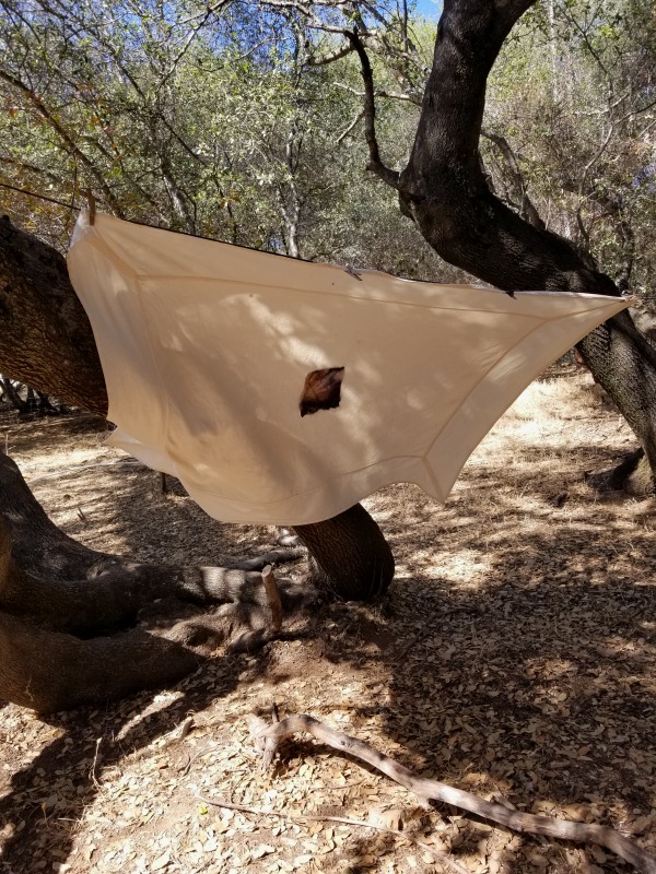 20200728_165638 20200728_165638